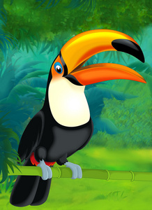 卡通大嘴鸟照片