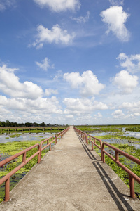 乡村道路