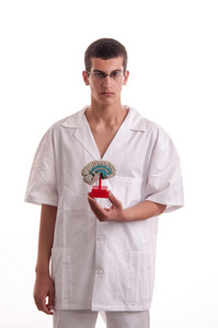 年轻的医生与大脑模型在他的手图片