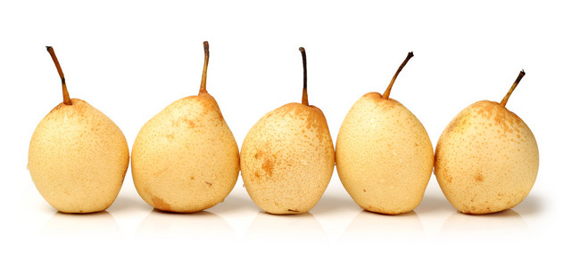 在白色背景上的梨图片-在白色背景上的梨素材-在白色背景上的梨插画