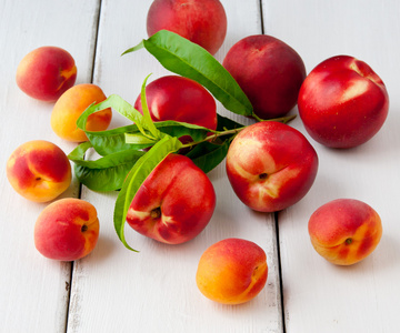 多彩夏季水果仁用杏 油桃和上的桃子宇