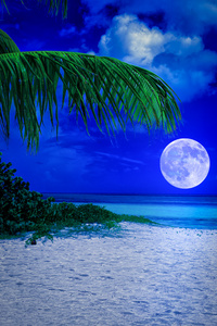 在晚上与满月的热带海滩