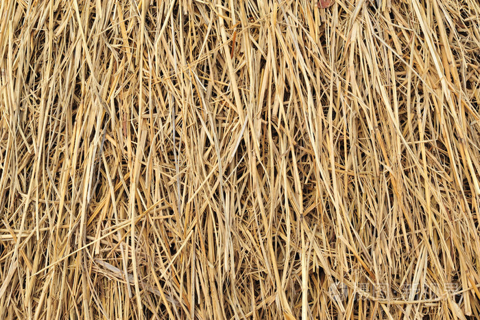 纹理的干稻草