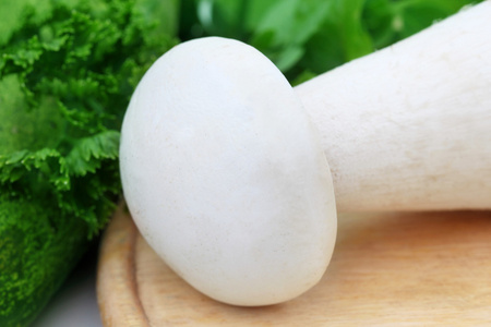 乳白色蘑菇与薄荷叶