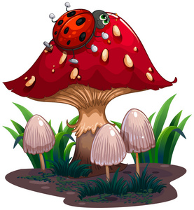 在红色的大蘑菇爬一个 bug