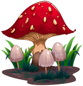 形象的一个巨大的蘑菇