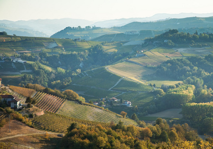 astigiano，山麓，意大利 秋天的风景