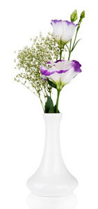 束洋花的花瓶，孤立在白色