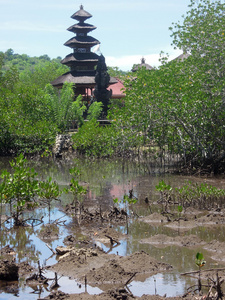 努沙伦邦根寺，巴厘岛附近的一个小岛印度尼西亚