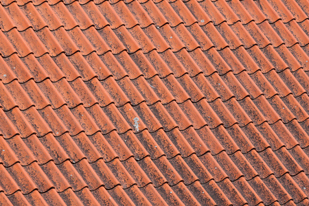 屋顶瓦片关闭图片