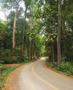 通过秋季公园路