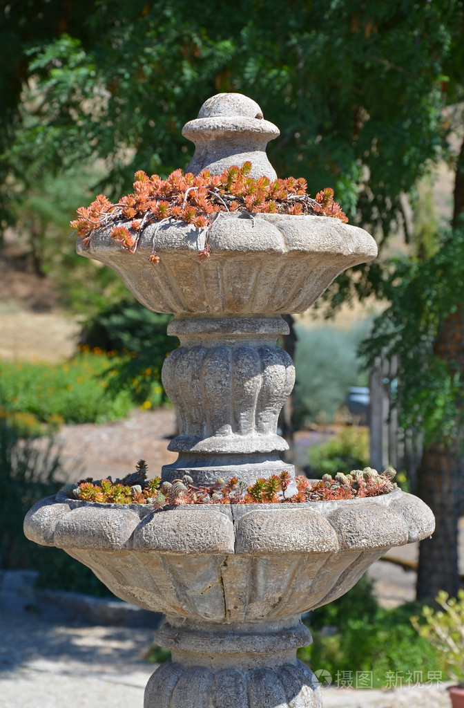 石水喷泉与植物