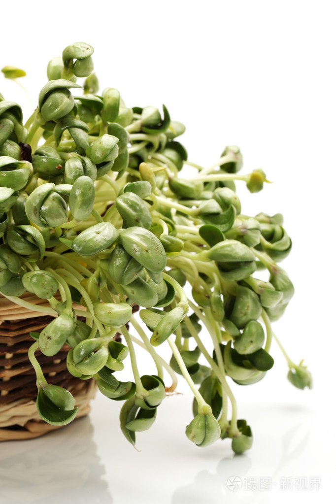 在白色背景上的绿色大豆豆芽