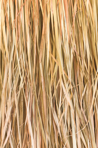 纹理的稻草