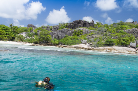 热带海滩上的白色珊瑚沙。拉拉迪戈岛 seyshelles