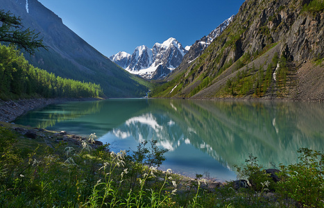 阿尔泰山