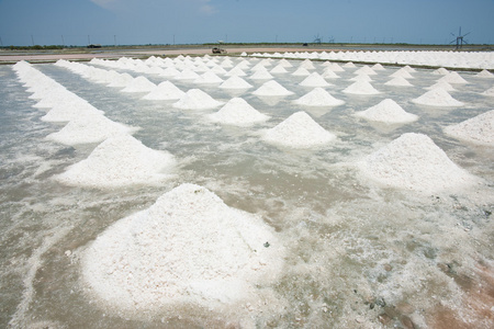 堆的海盐场收获的准备中图片