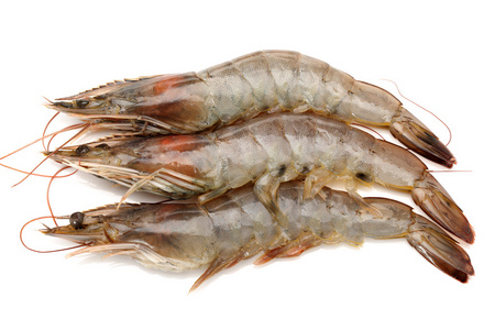 在白色背景上孤立的生虾照片