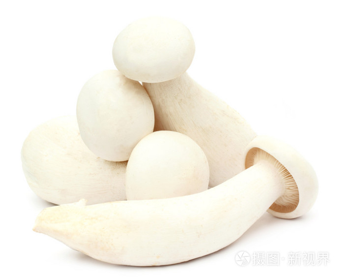 乳白色的蘑菇