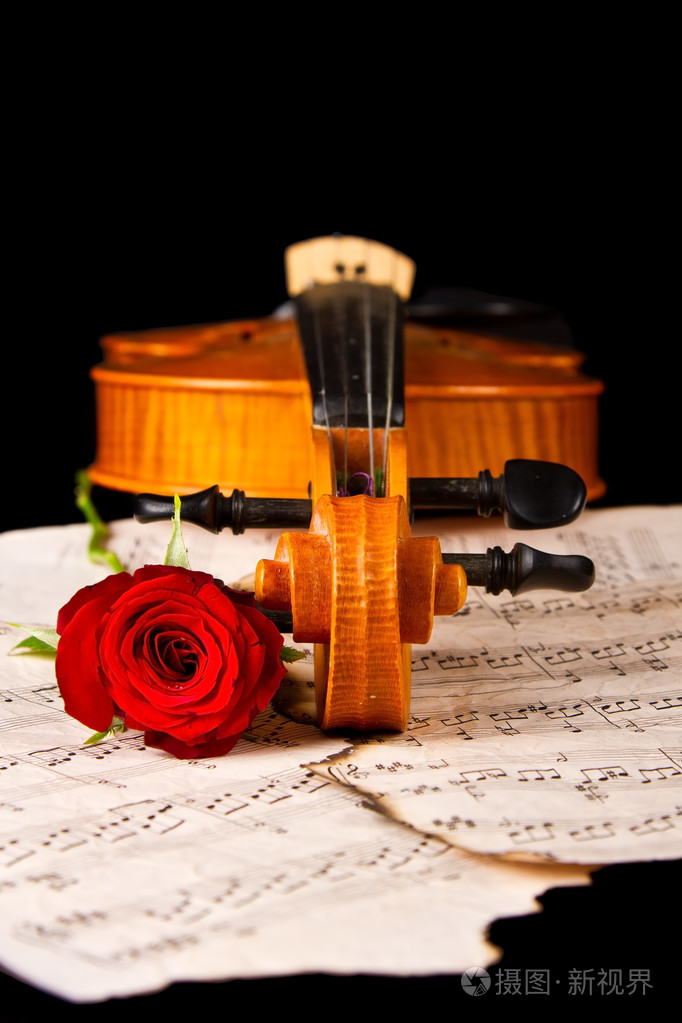 小提琴乐谱和玫瑰