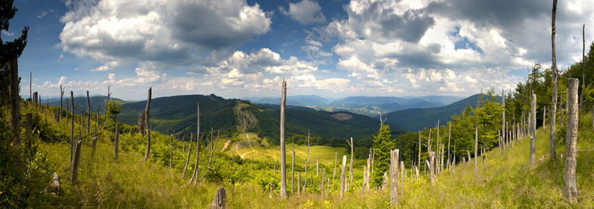 晴朗的天气里山风景