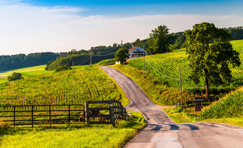 农村的约克郡，pennsylva 国家公路沿线农田