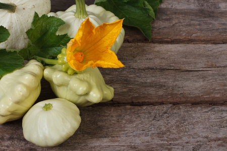 成熟 pattypan 壁球蔬菜与黄色的花朵和叶子