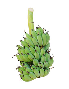 大串原料香蕉被隔绝在白色背景上