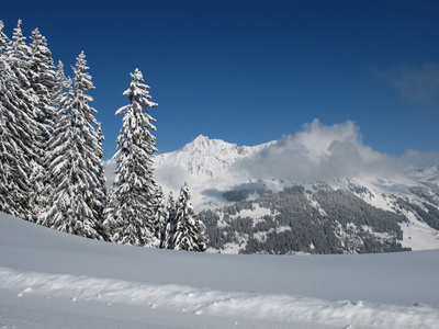 在瑞士的阿尔卑斯山的美丽的冬天天
