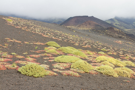 特纳火山国家公园