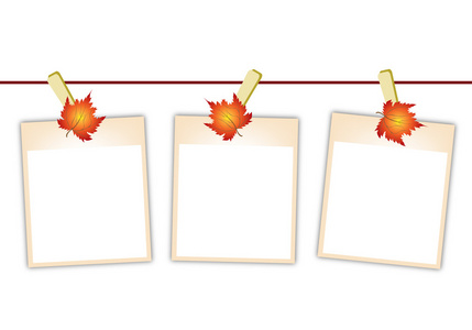 空白照片与枫树叶子挂在晾衣绳上照片