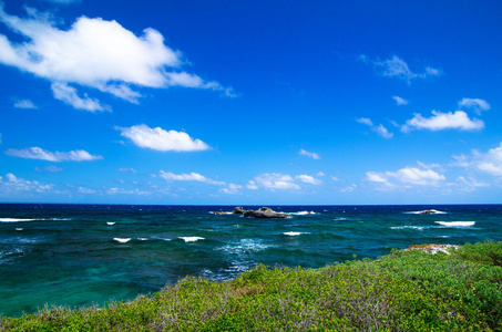 热带海