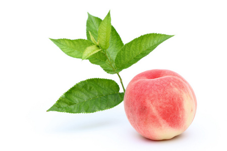 鲜桃和叶子照片