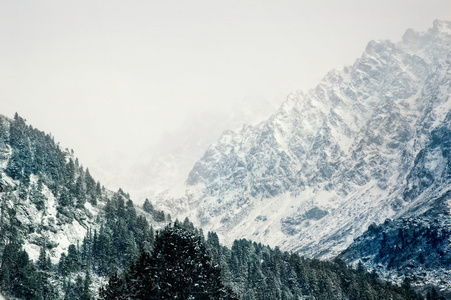 树木覆盖着白霜和在山中雪