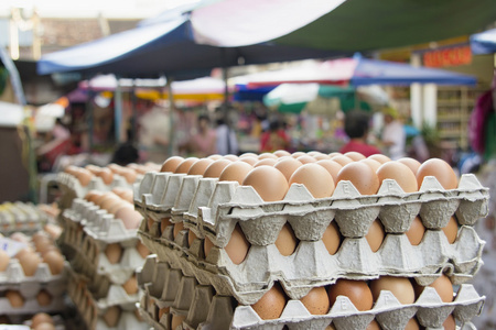 在东南亚地区湿市场鸡肉鸡蛋供应商