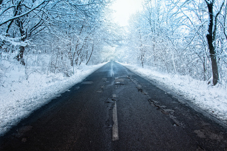 冬季道路和树木覆盖着雪