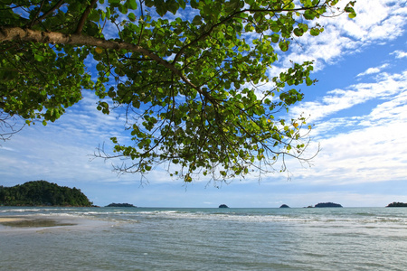 热带海滩地区充分的群岛