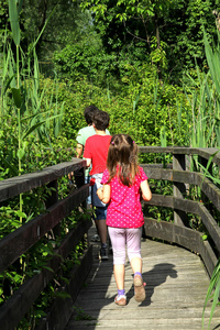 三个兄弟走在自然公园池塘中央的T台上