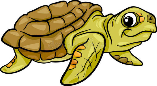 内地海龟图片-内地海龟素材-内地海龟插画-摄图新视界