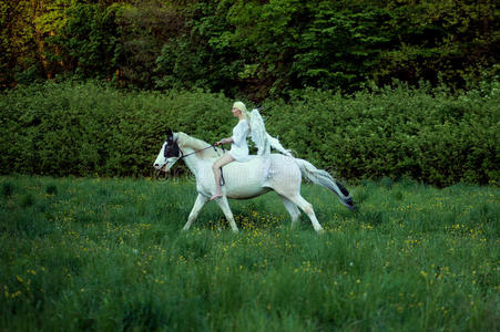 骏马上的优雅天使优雅迷人的阿曼骑马优雅装饰的霍克洛马明信片框优雅