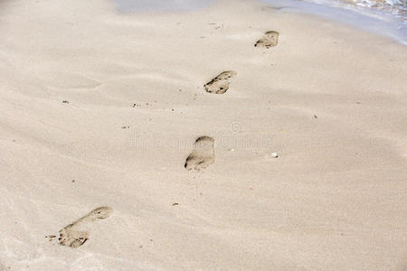 沙滩上有脚印的海岸线