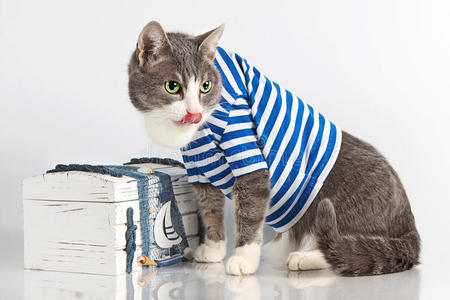 灰色的猫穿着水手服，背景是胸部