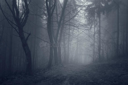 幽暗背景图片