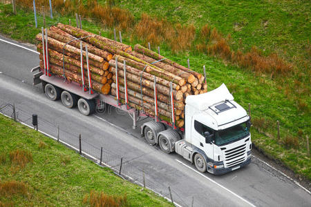 卡车拖车上的木材原木照片