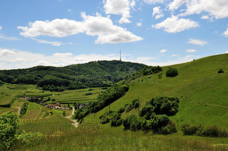 kaiserstuhl和alt vogtsburg