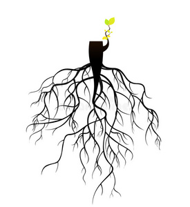 腐烂的树根图片