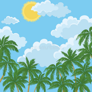 热带棕榈树，有阳光和云彩的天空