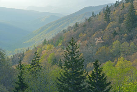 春大烟山