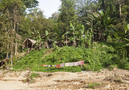 旅行 小屋 巡航 内加拉 旅行者 旅游 雨林 冒险 高的