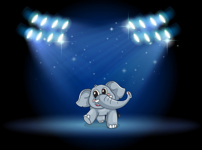 在聚光灯下在舞台上跳舞的大象